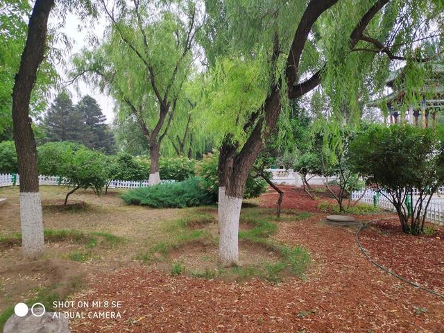 小米8se缺点总结（小米8SE深度评测价位合理）(10)