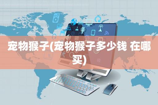 宠物猴子(宠物猴子多少钱 在哪买) 宠物猴子(宠物猴子多少钱 在哪买)