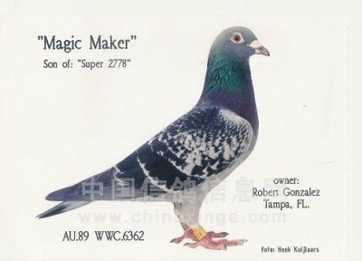 ​超级73嫡系传人：魔术师鸽舍