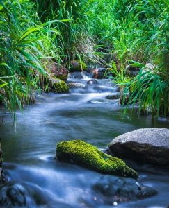 ​祝由术不可随意施展之二