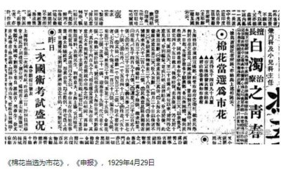 ​上海的市花曾经是棉花，棉花为什么会成为上海的市花？