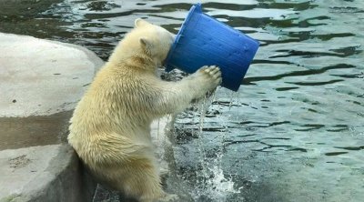 ​百亿蜜雪冰城“盯上”瓶装水，该拿什么和巨头拼？