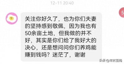 ​养鸡能赚到钱吗？老公养鸡5年换来我的肺腑之言。
