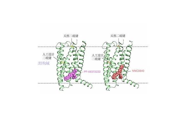 在夜店坚持做纯爱战士的我,遇上了一个段位不低的海后 在夜店坚持做纯爱战士的我,遇上了一个段位不低的海后