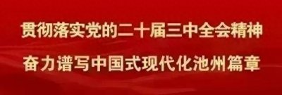​池州青阳，“新旧赛道”齐发力！
