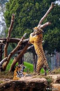 ​推荐15个北京最适合带孩子去玩的地方，假期快点开始行动起来吧！