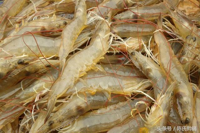 南美对虾和基围虾（对虾基围虾南美白对虾）(2)