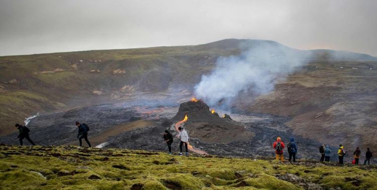 冰岛茶在哪个国家哪个省