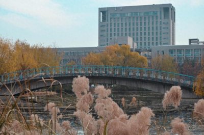 ​2024中国水利电力类大学排名，河海大学第一，全国第61名