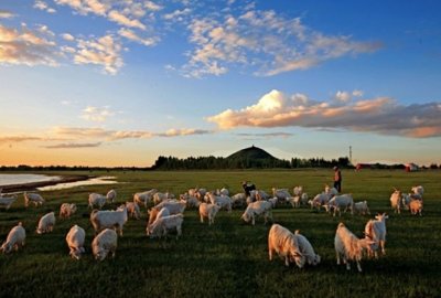 ​通辽阿古拉草原——春花秋实，翰海滴翠