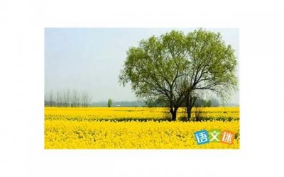 ​我踏月色而来