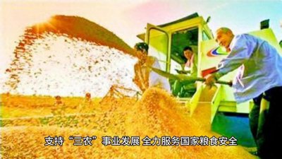 ​农业发展银行省级薪资待遇户口与晋升路径