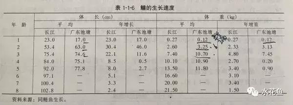 鲢鳙生长过程（鲢鳙花白鲢鱼的摄食与生长）(9)