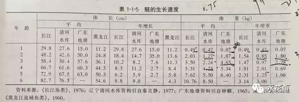 鲢鳙生长过程（鲢鳙花白鲢鱼的摄食与生长）(8)