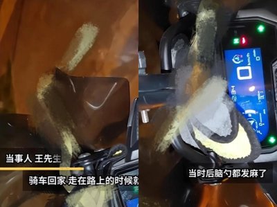 ​吓麻了！陕西惊现“鸡冠蛇”原型，无毒牙为何却比眼镜王蛇还毒？