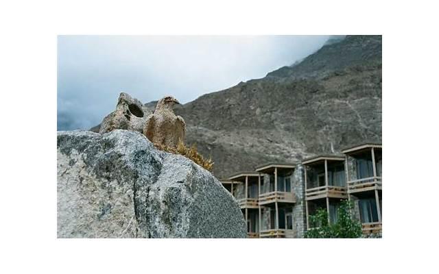 六十四卦金钱课（六十四卦金钱课卦图）