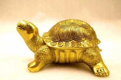 ​每个丈母娘都想找一个“金龟婿”