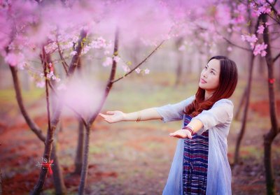 ​郴州桂阳樱花园将启动第四届“2019年樱花节”