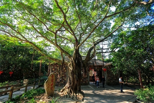 泉州十八景之一，以36洞天，18胜景闻名于世的清源山