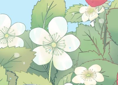 ​住养老院的姨妈想来家过年，原本同意，隔天接到大哥电话果断拒绝