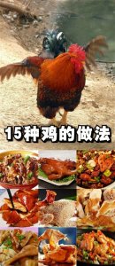 ​年夜饭15种鸡肉的做法，大盘鸡做法最正宗，家人可以享口福了