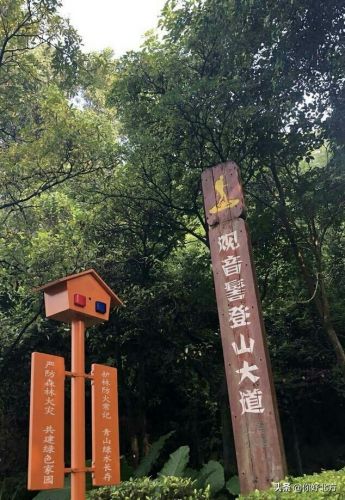 东莞旅行社有限公司招聘，东莞旅游旅行社-第2张图片-